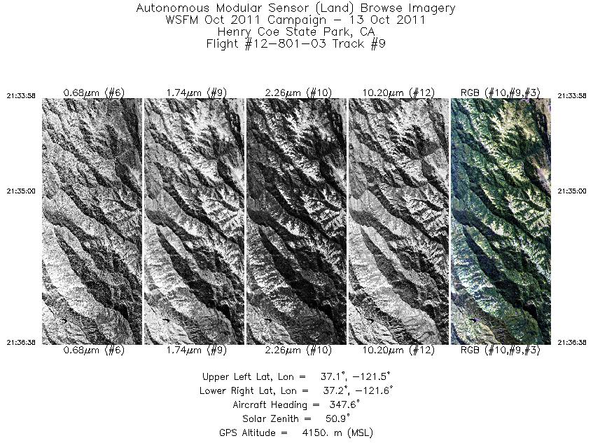 Image of selected bands from flight line 09