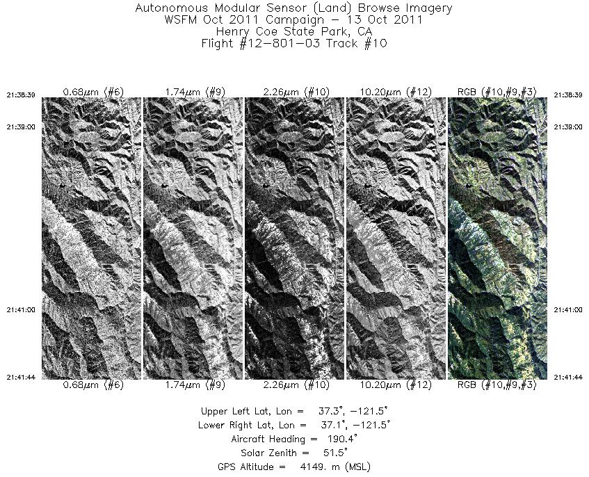 Image of selected bands from flight line 10