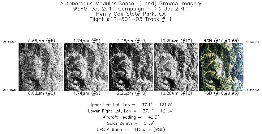 Image of selected bands from flight line 11