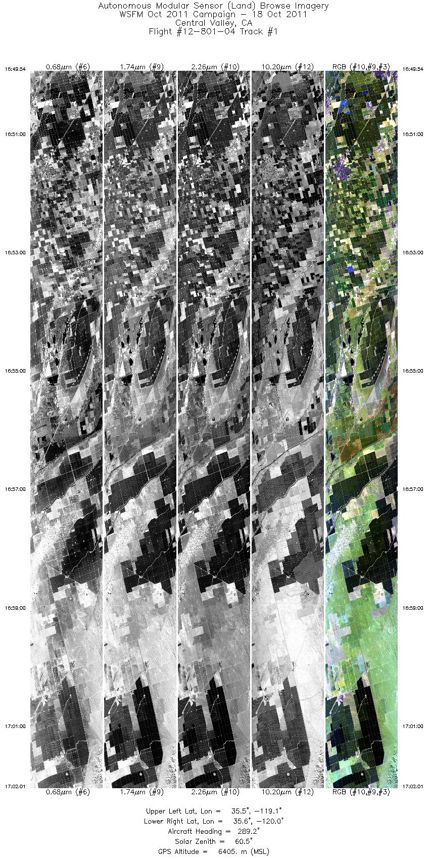 Image of selected bands from flight line 01