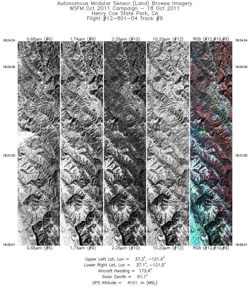 Image of selected bands from flight line 09