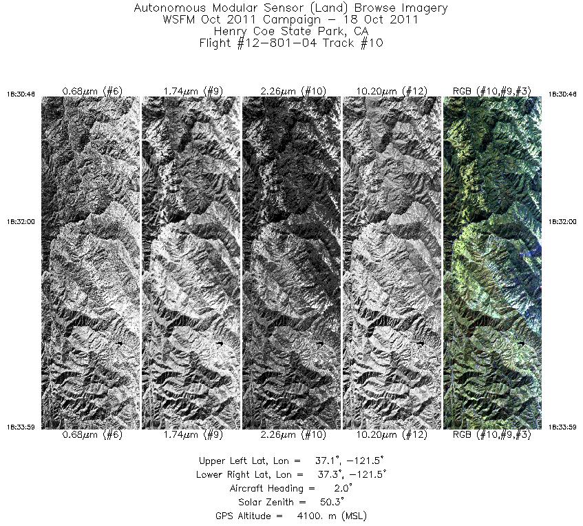 Image of selected bands from flight line 10