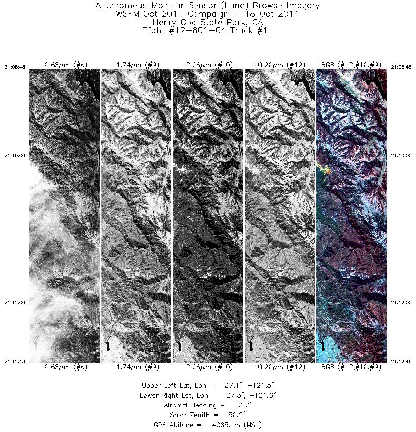 Image of selected bands from flight line 11