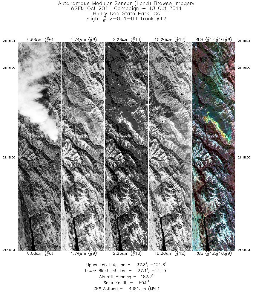 Image of selected bands from flight line 12