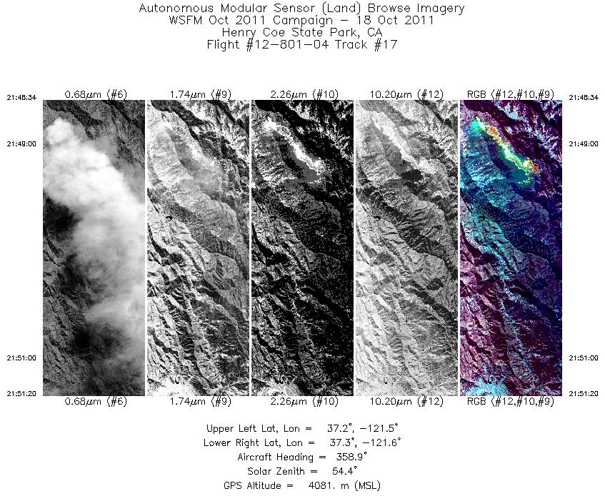 Image of selected bands from flight line 17