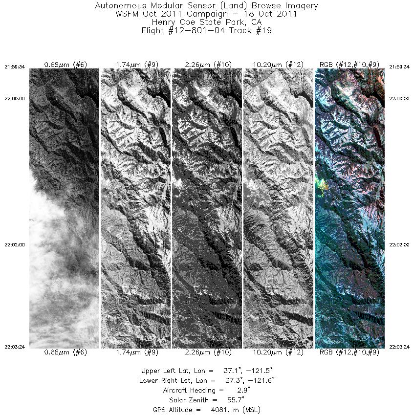 Image of selected bands from flight line 19