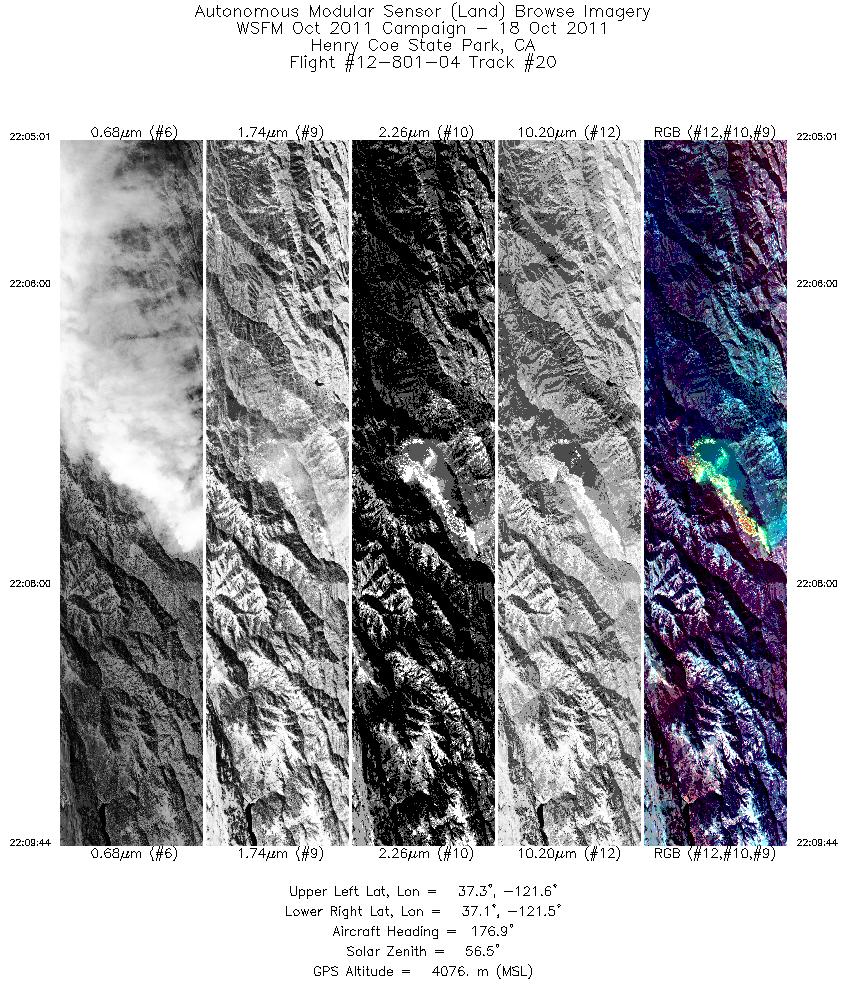 Image of selected bands from flight line 20