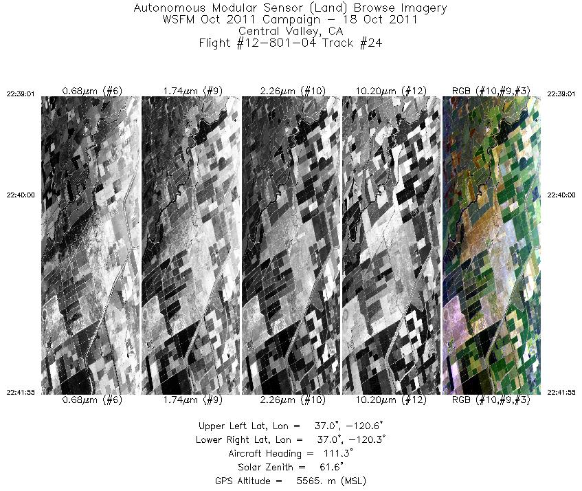 Image of selected bands from flight line 24