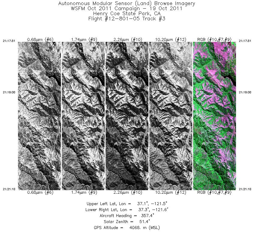 Image of selected bands from flight line 03