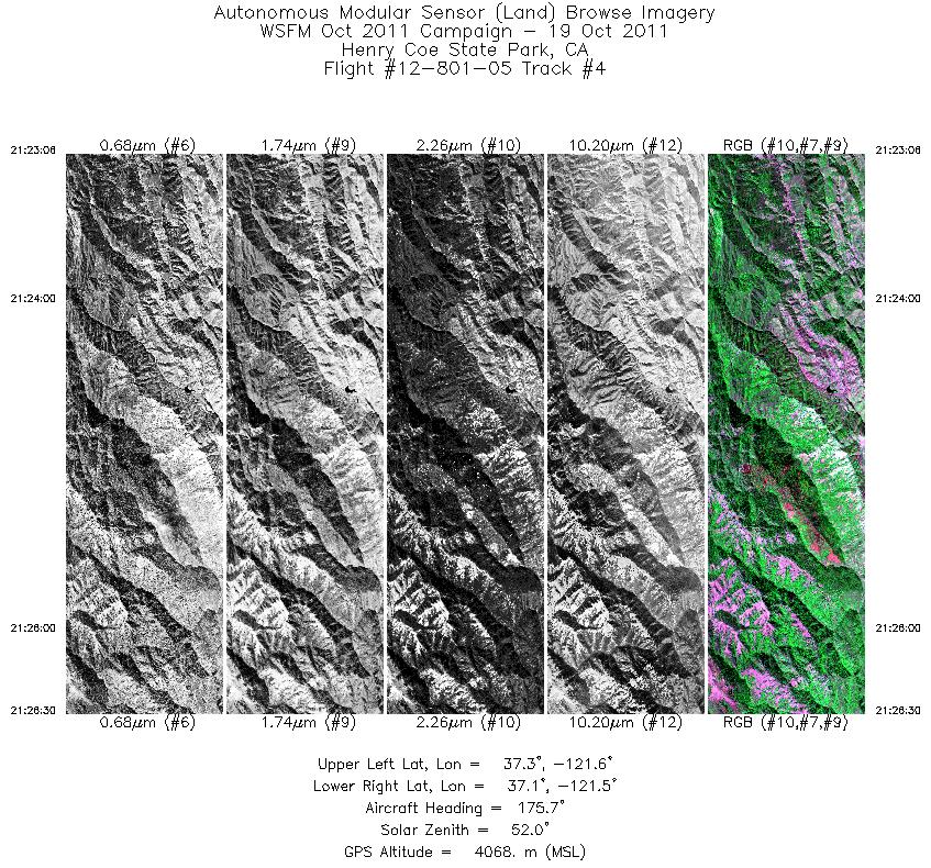 Image of selected bands from flight line 04