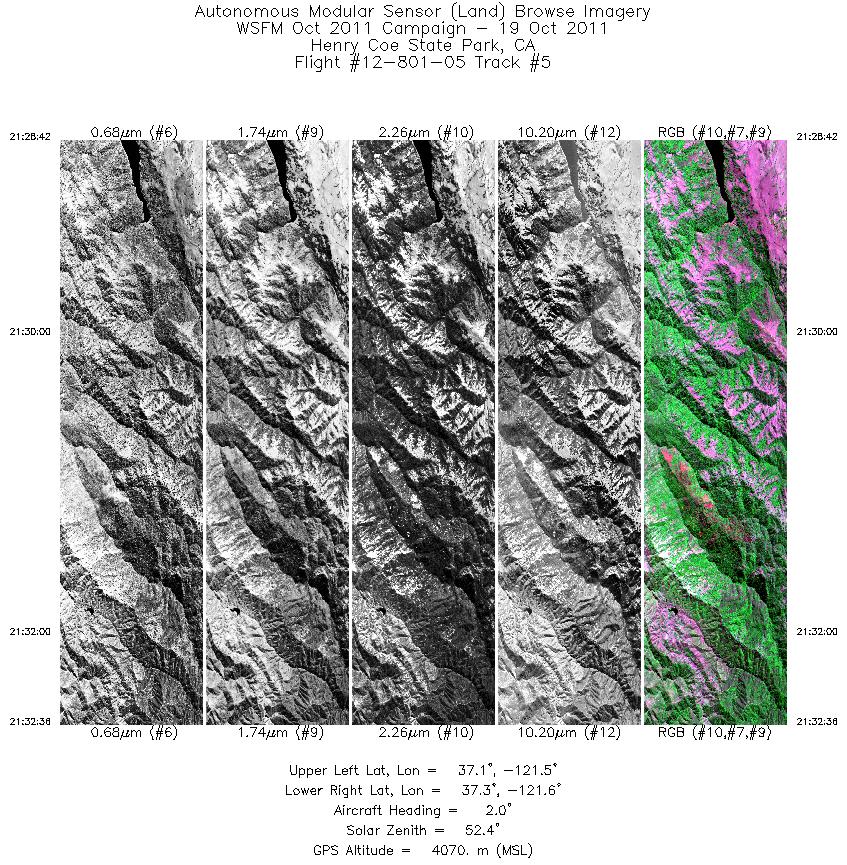 Image of selected bands from flight line 05