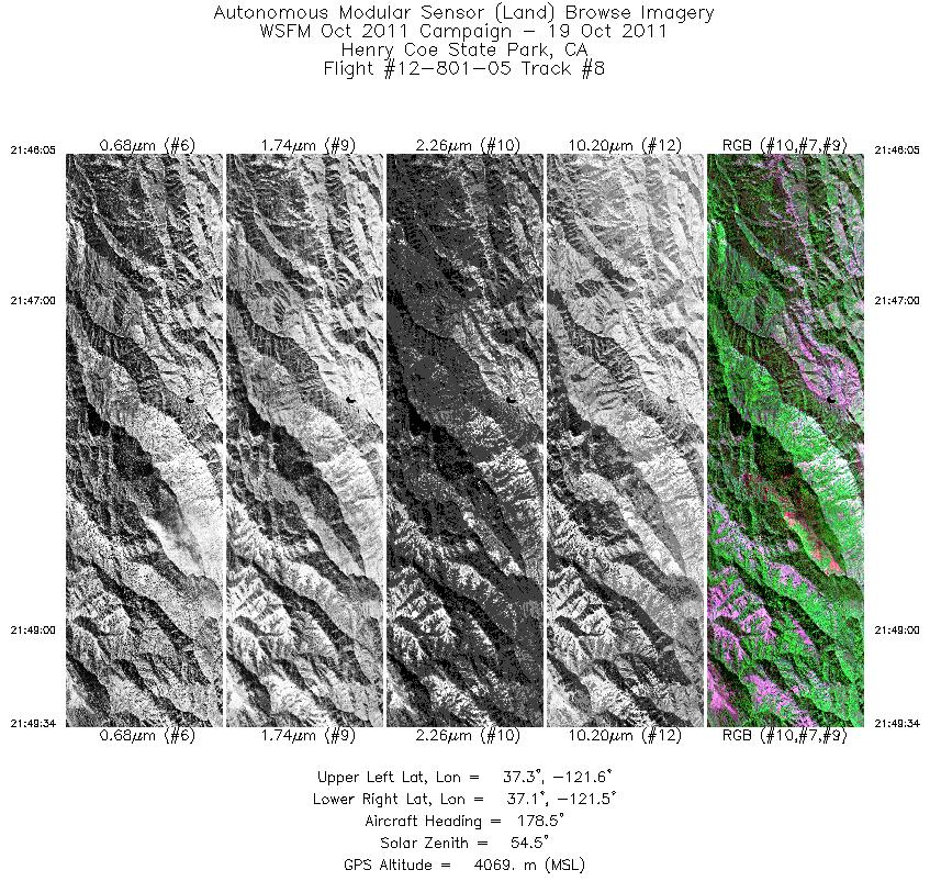 Image of selected bands from flight line 08