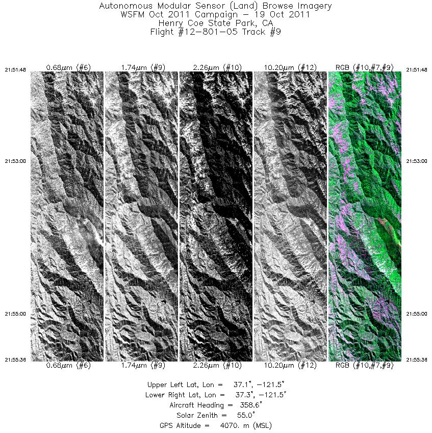 Image of selected bands from flight line 09