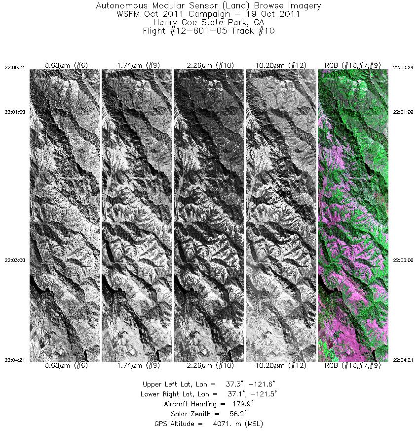 Image of selected bands from flight line 10