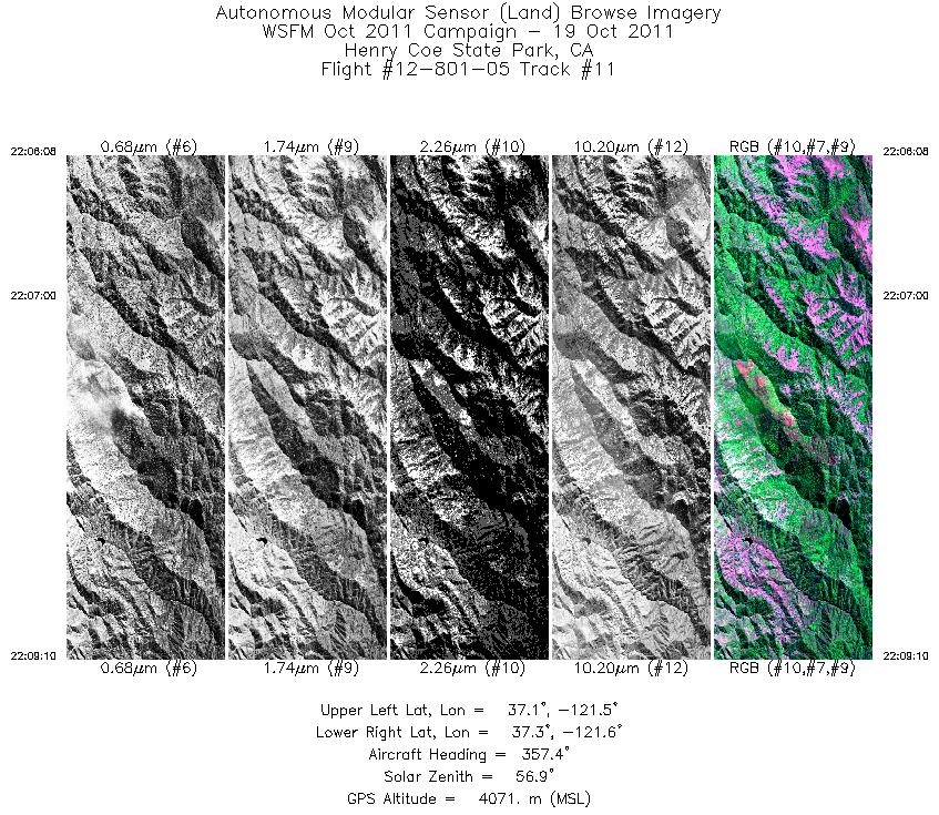 Image of selected bands from flight line 11