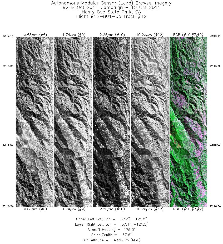 Image of selected bands from flight line 12