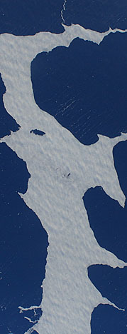 sea ice streamers image