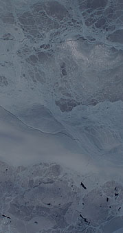 Weddell Sea Ice Shelf mosaic