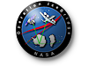 Operation IceBridge logo