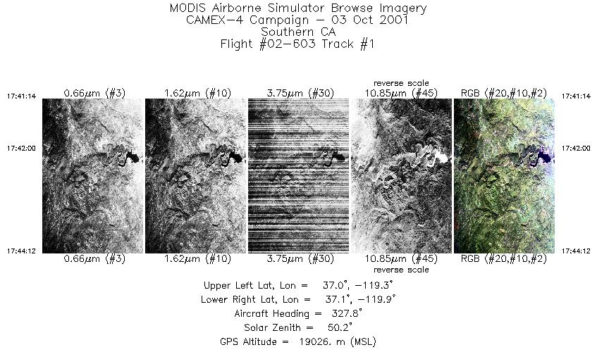 image of MAS scanline 01