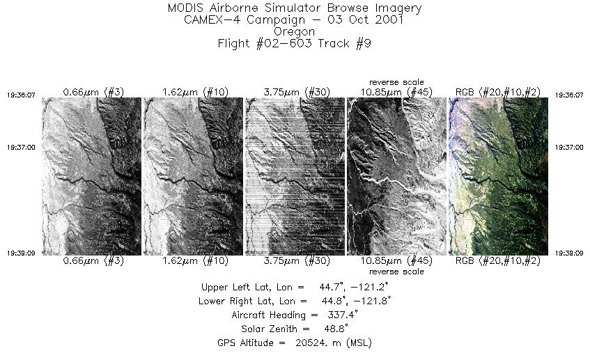 image of MAS scanline 09