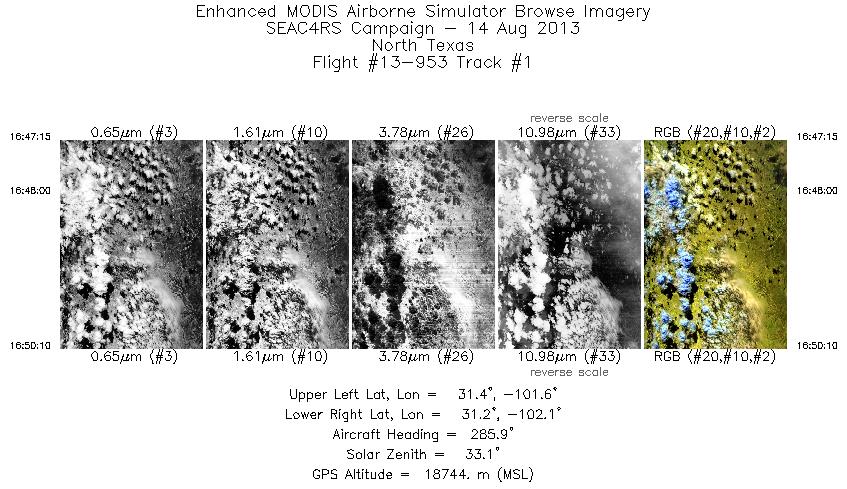 Image of selected bands from flight line 01