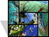 PE&RS Cover mosaic thumbnail image