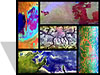 SAFARI mosaic thumbnail image