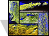 WISC-T2000 mosaic thumbnail image