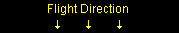 Flight: Direction Indicator