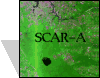 SCAR-A logo