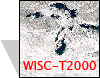 WISC-T2000 Campaign Logo