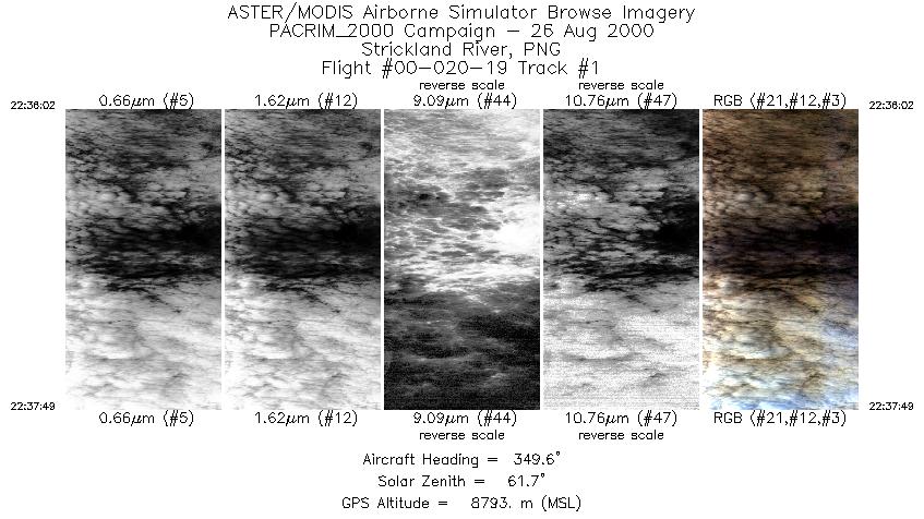 Image of selected bands from flight line 1