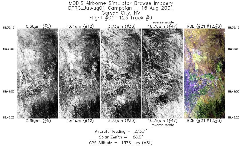 Image of selected bands from flight line 9