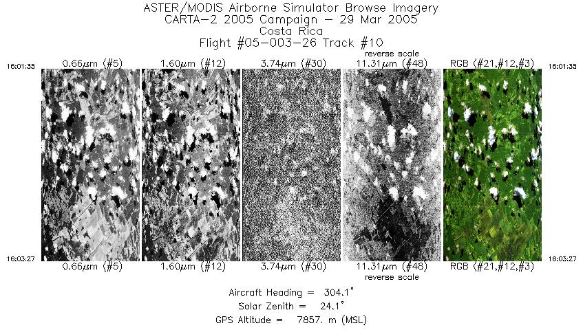 Image of selected bands from flight line 10