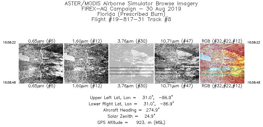 Image of selected bands from flight line 8