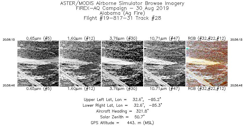 Image of selected bands from flight line 28
