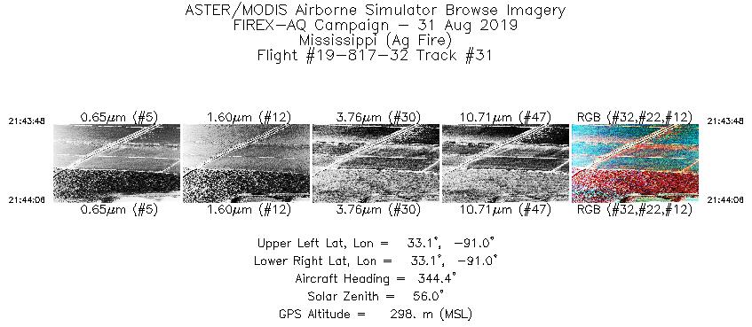 Image of selected bands from flight line 31