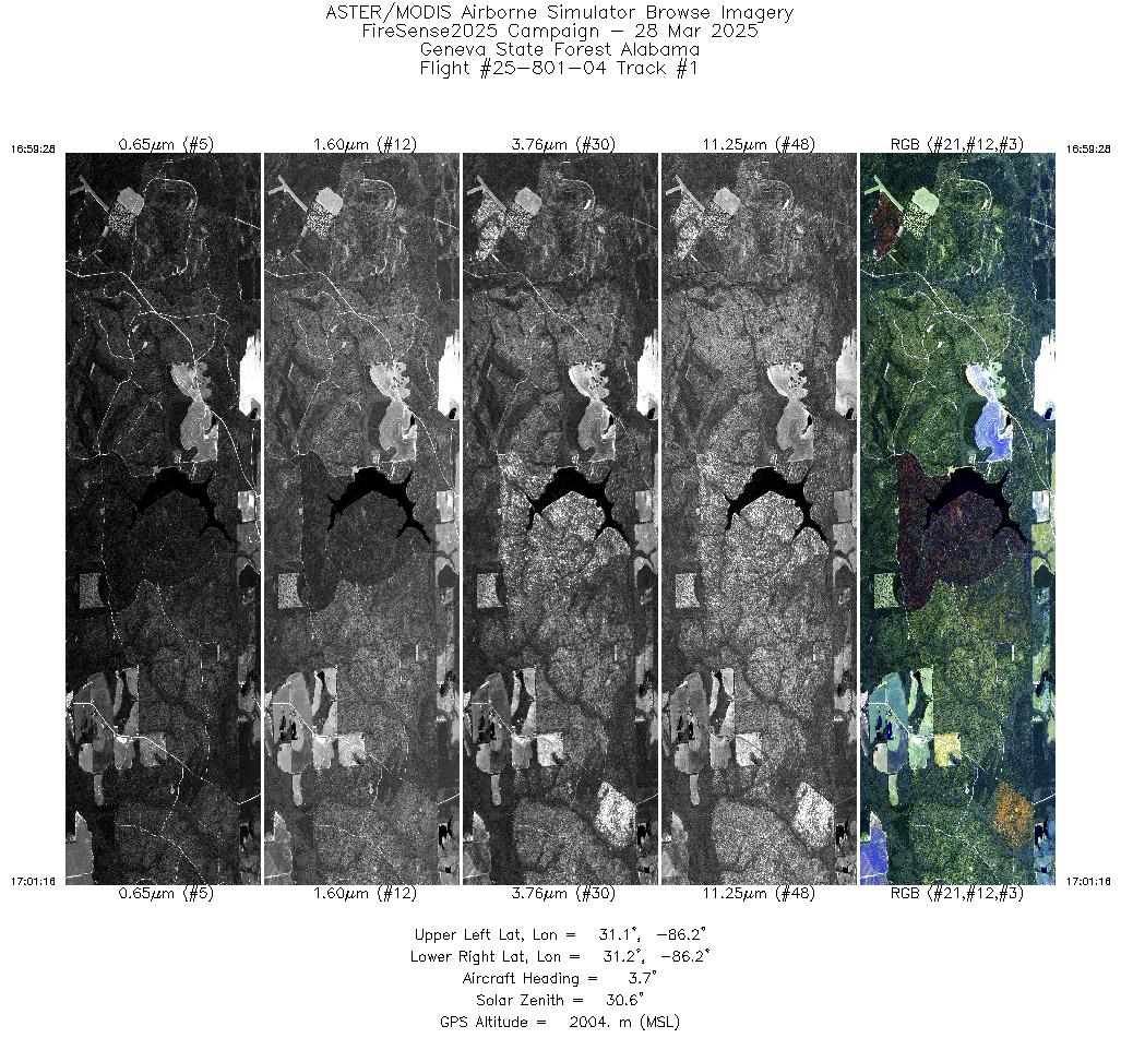 Image of selected bands from flight line 01