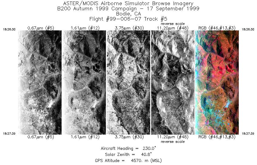 Image of selected bands from flight line 5